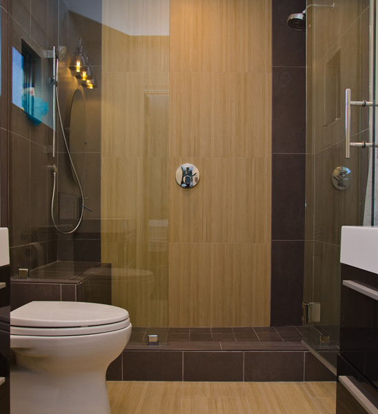 Bathroom Remodel in Los Angeles (1500)