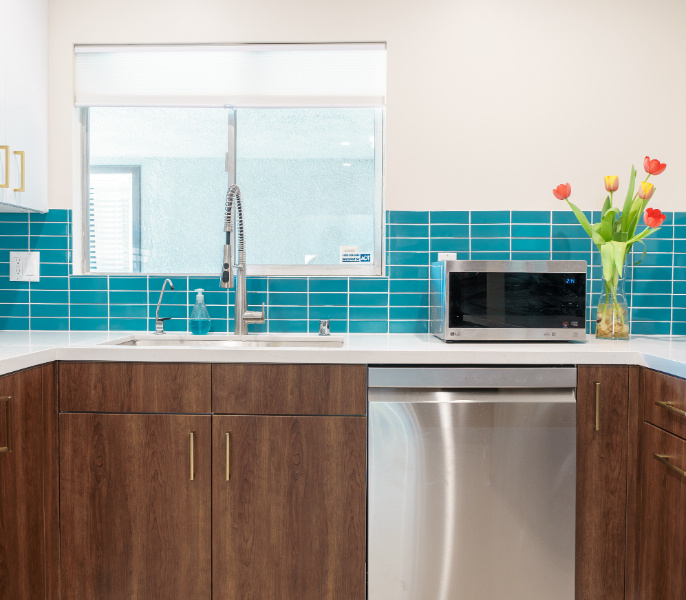 Mid-Century Kitchen Remodel  in Valley Glen (2011)