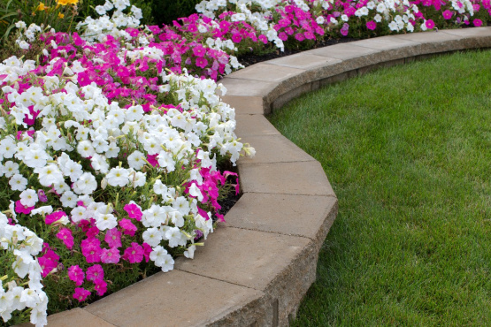 Curved Planters with Flowers (#2542) | Pearl Remodeling